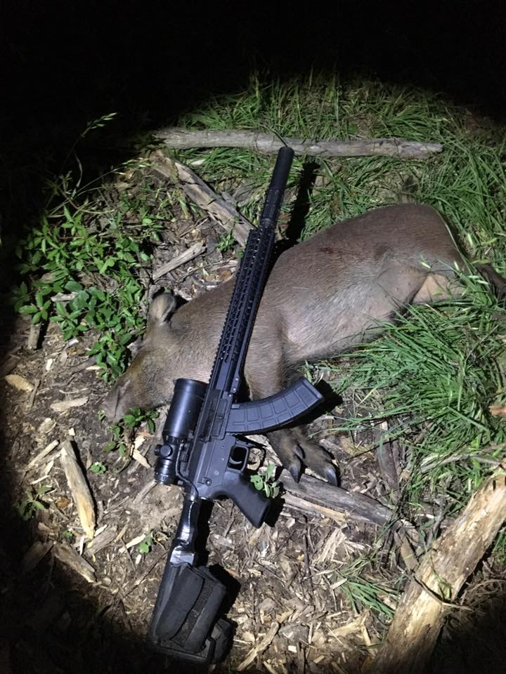 dead hog with ar style rifle laid across it
